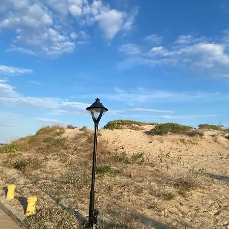 Rainbow 3-103 Cozy Sunny *